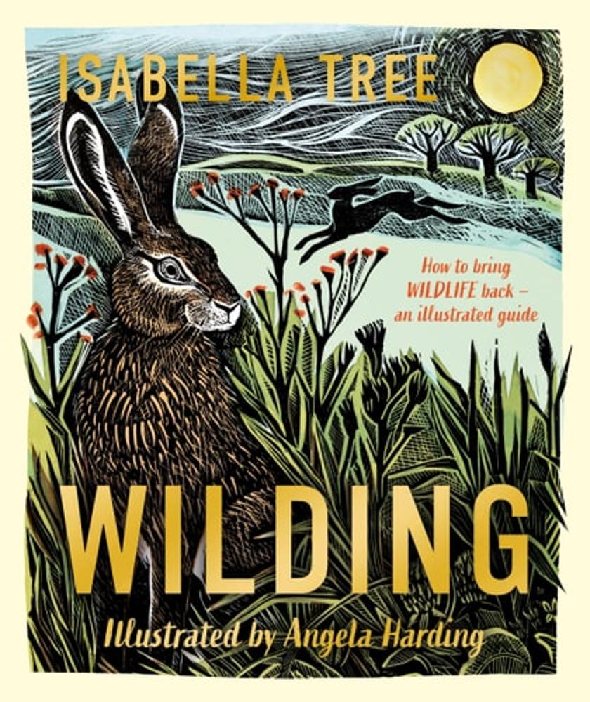 WILDING: HOW TO BRING WILDLIFE BACK - AN