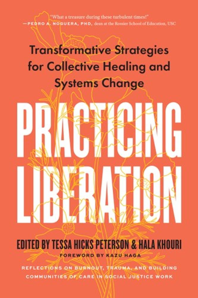 Practicing Liberation: Transformative Strategies for Collective Healing & Systems Change: Reflections on burnout, trauma & building communities of care in social justice work