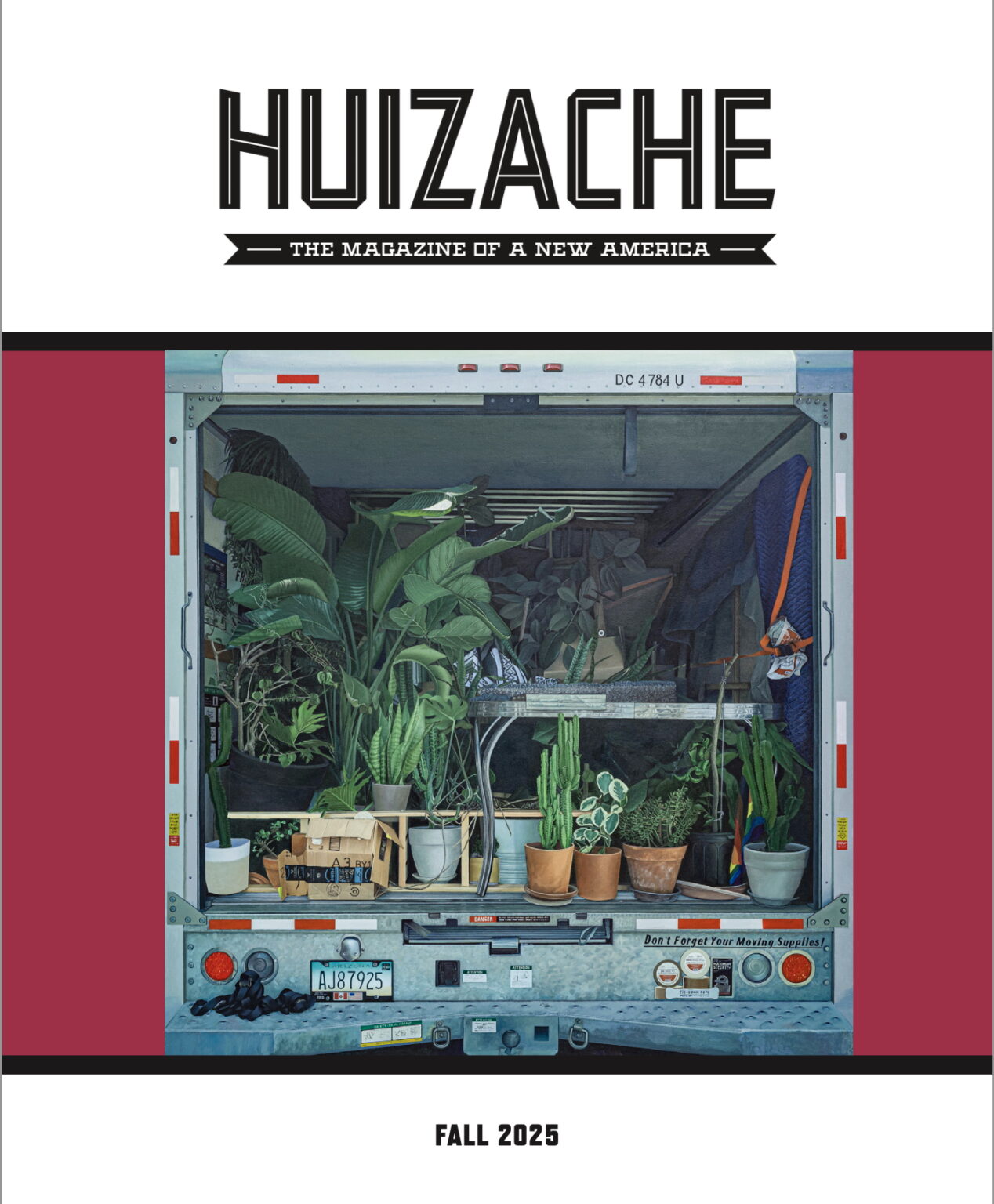 Huizache 12
