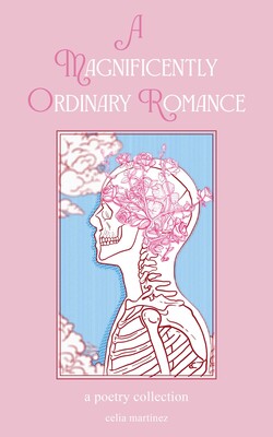 A Magnificently Ordinary Romance