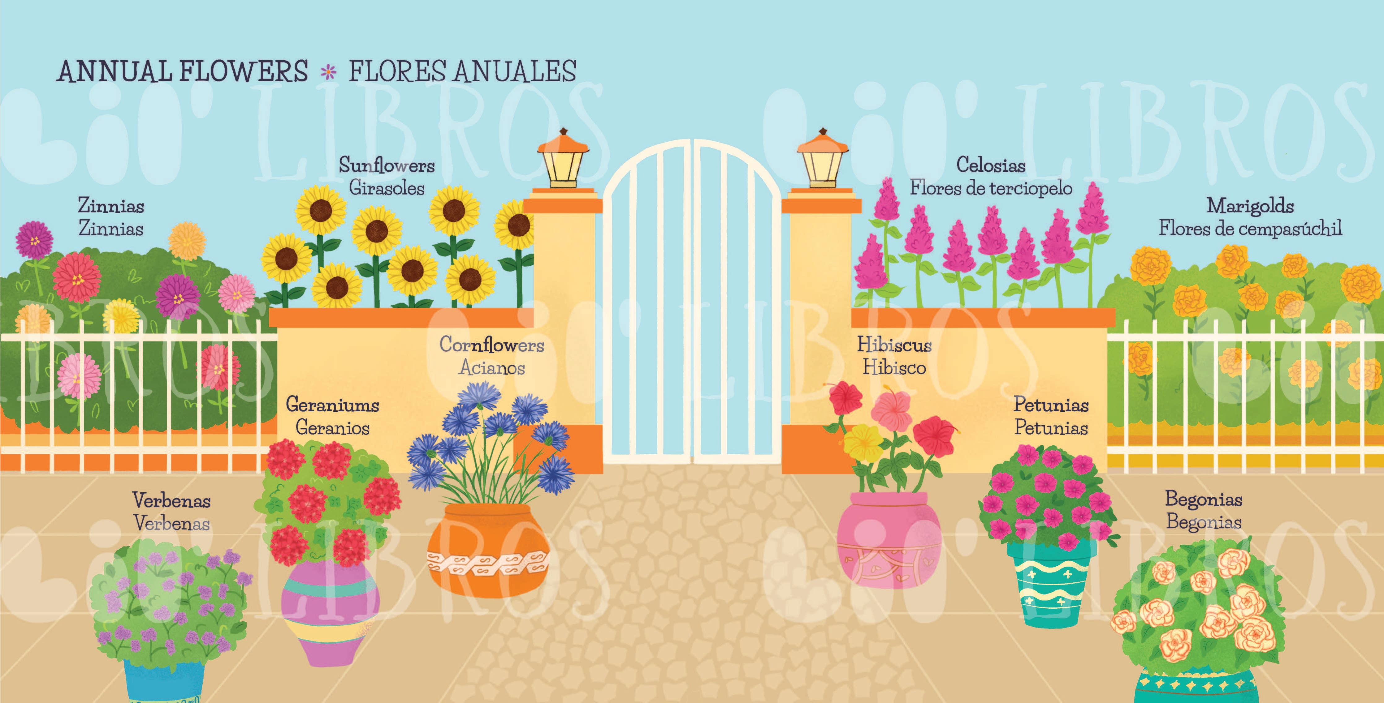My First 100 Plantitas & Florecitas Words (Bilingual)