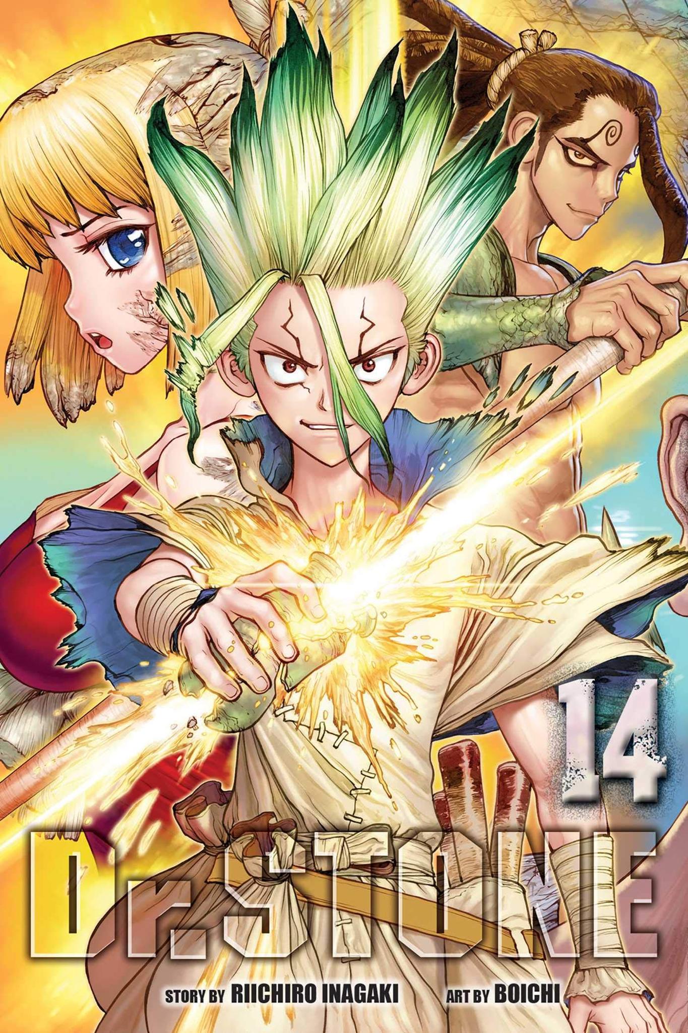 Dr. STONE, Vol. 14 (14) Paperback