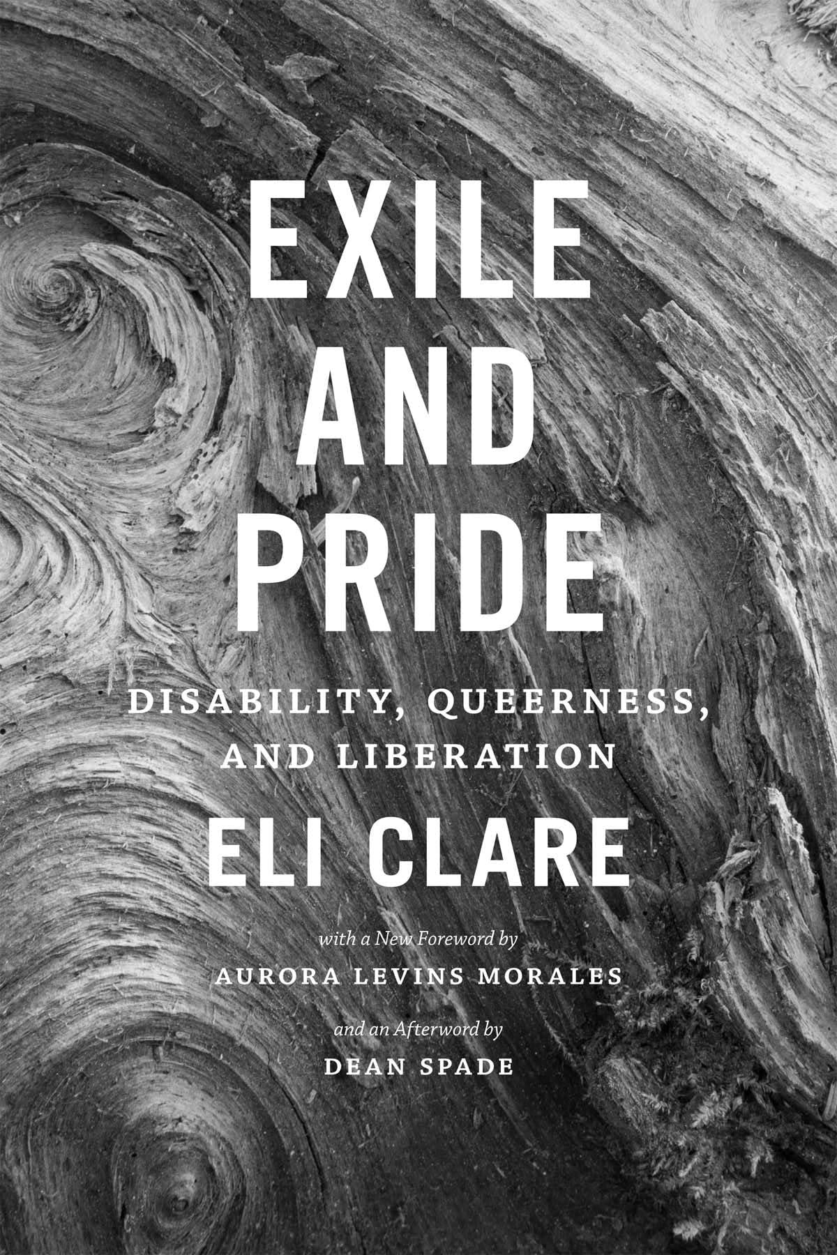 Exile and Pride: Disability, Queerness, and Liberation (Paperback)