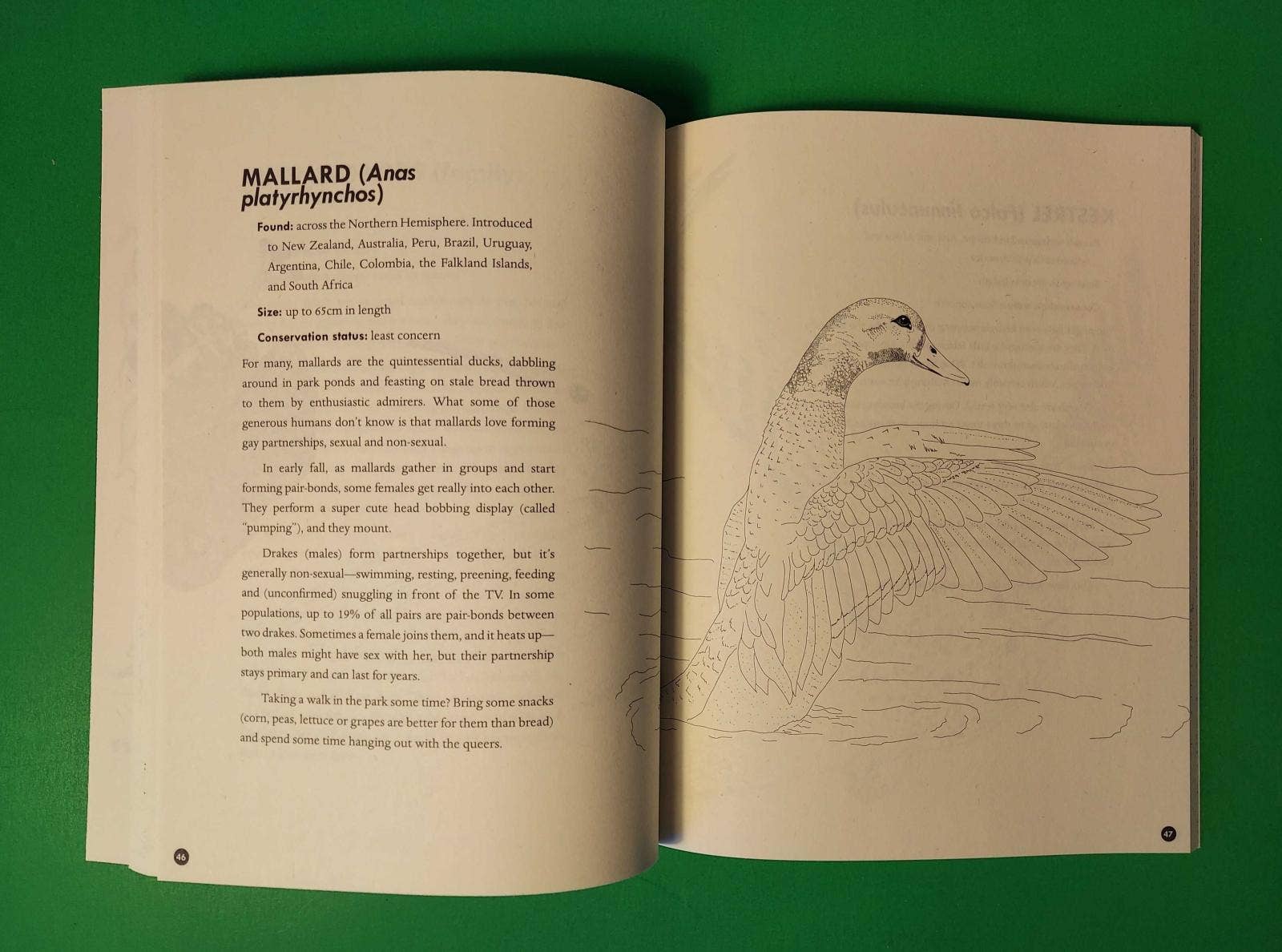 Queer Animals and Plants Coloring Book
