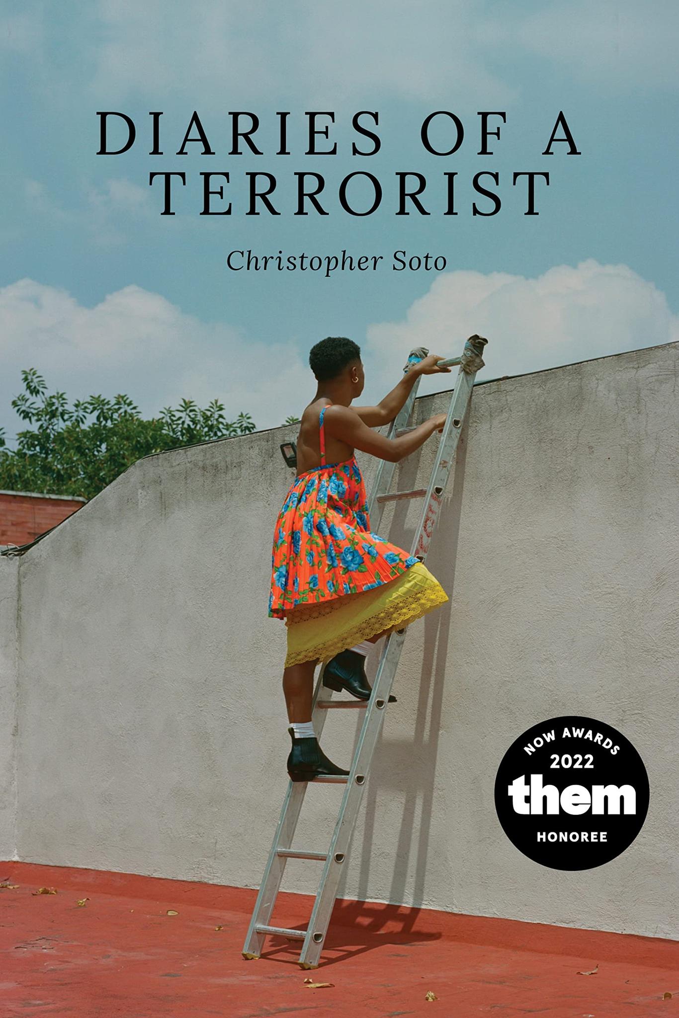 Diaries of a Terrorist (Paperback)