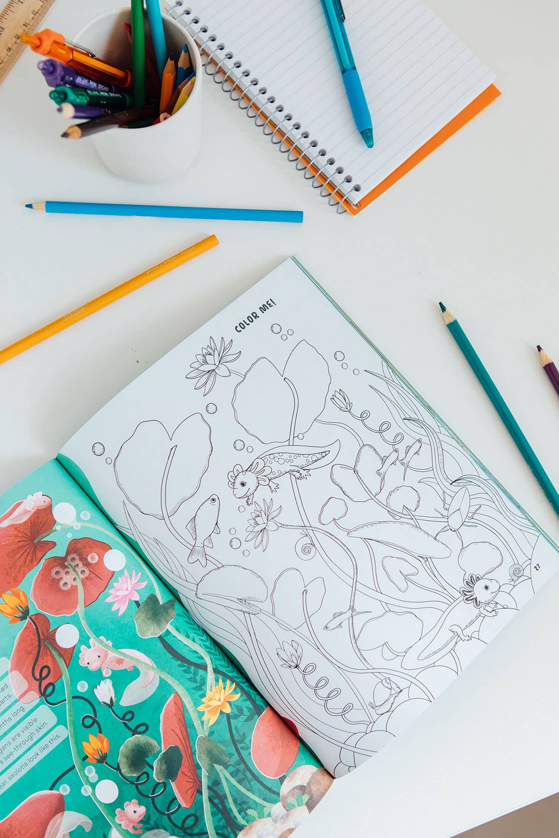 Amazing Axolotls: An Activity Book for Kids