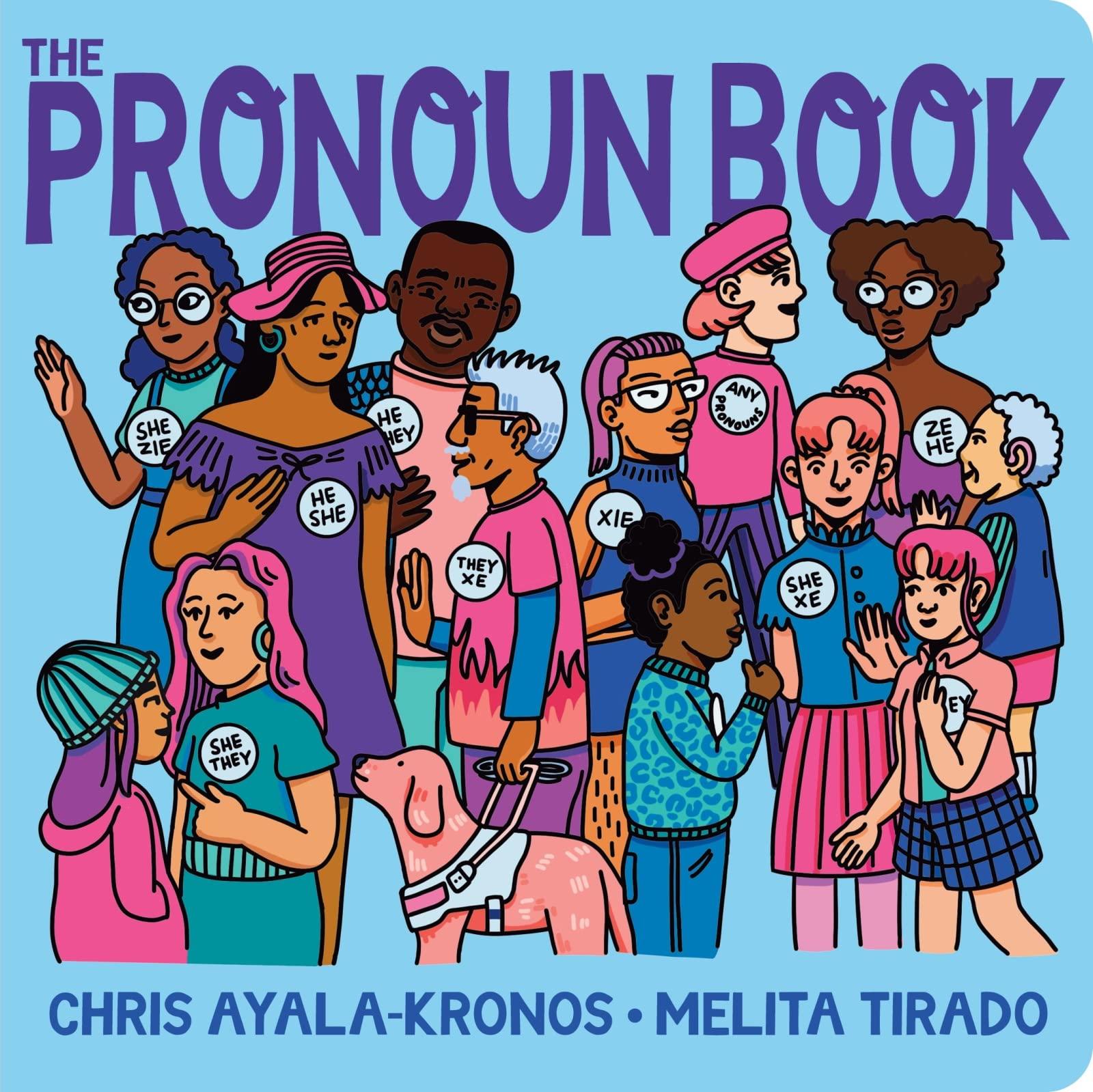 The Pronoun Book (board book)