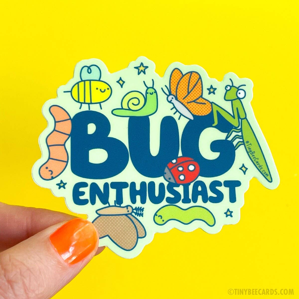 Tiny Bee Cards - Bug Enthusiast Insect Lover Vinyl Sticker