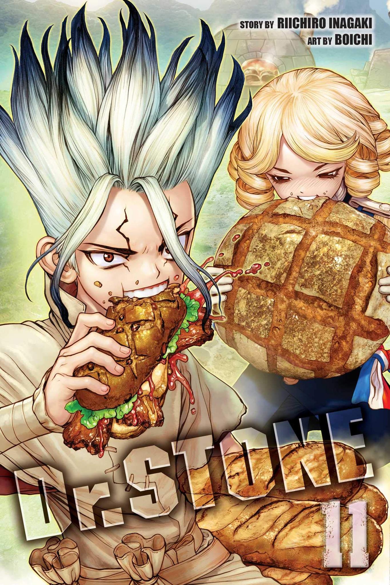 Dr. STONE, Vol. 11 (11) Paperback