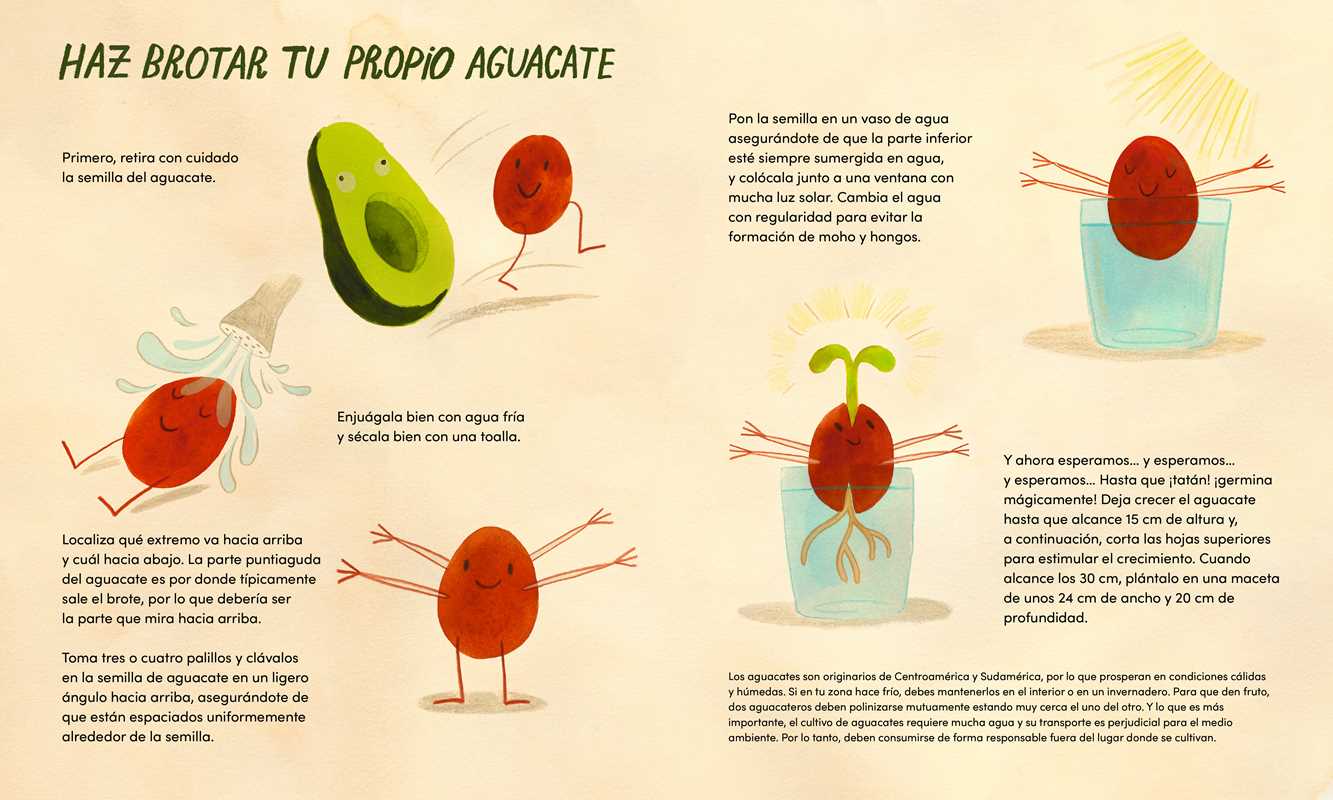 ¡Viva el aguacate!