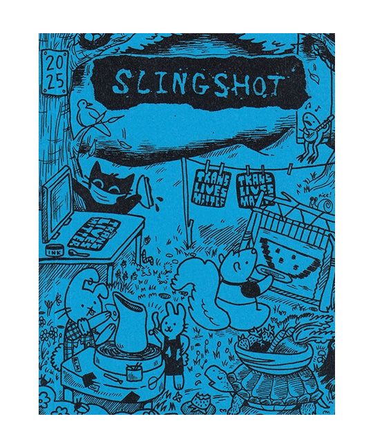 2025 Slingshot Pocket Organizer