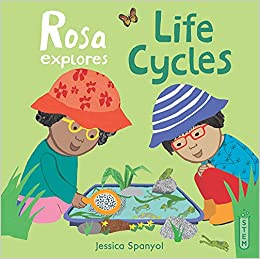 Rosa Explores Life Cycles (Rosa's Workshop, 4)