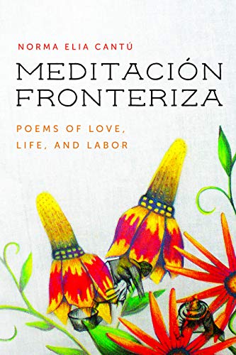 Meditación Fronteriza: Poems of Love, Life, and Labor (Camino del Sol)