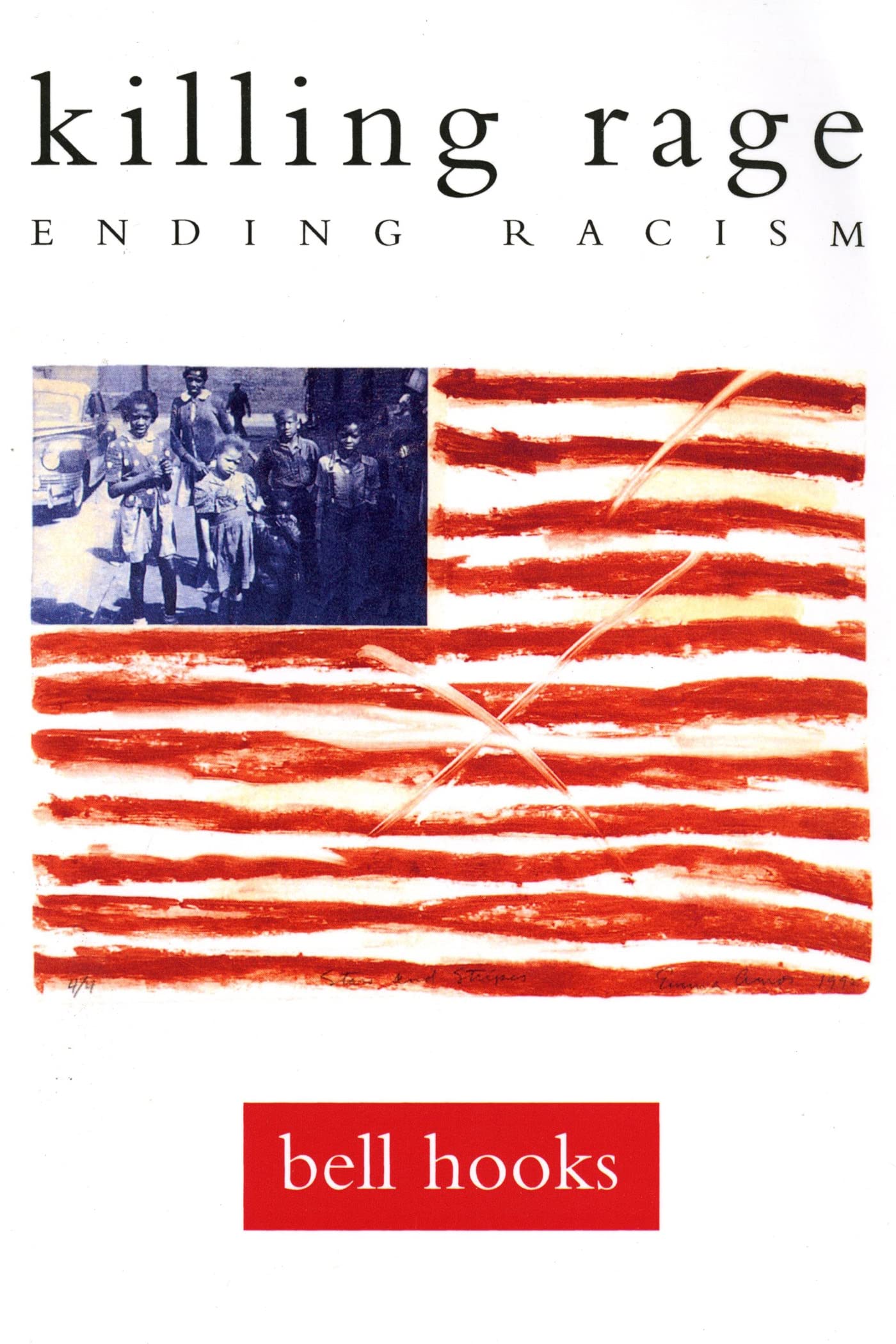 killing rage: Ending Racism (Owl Book)