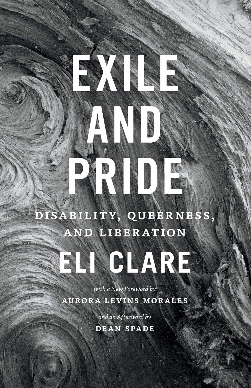 Exile and Pride: Disability, Queerness, and Liberation (Paperback)