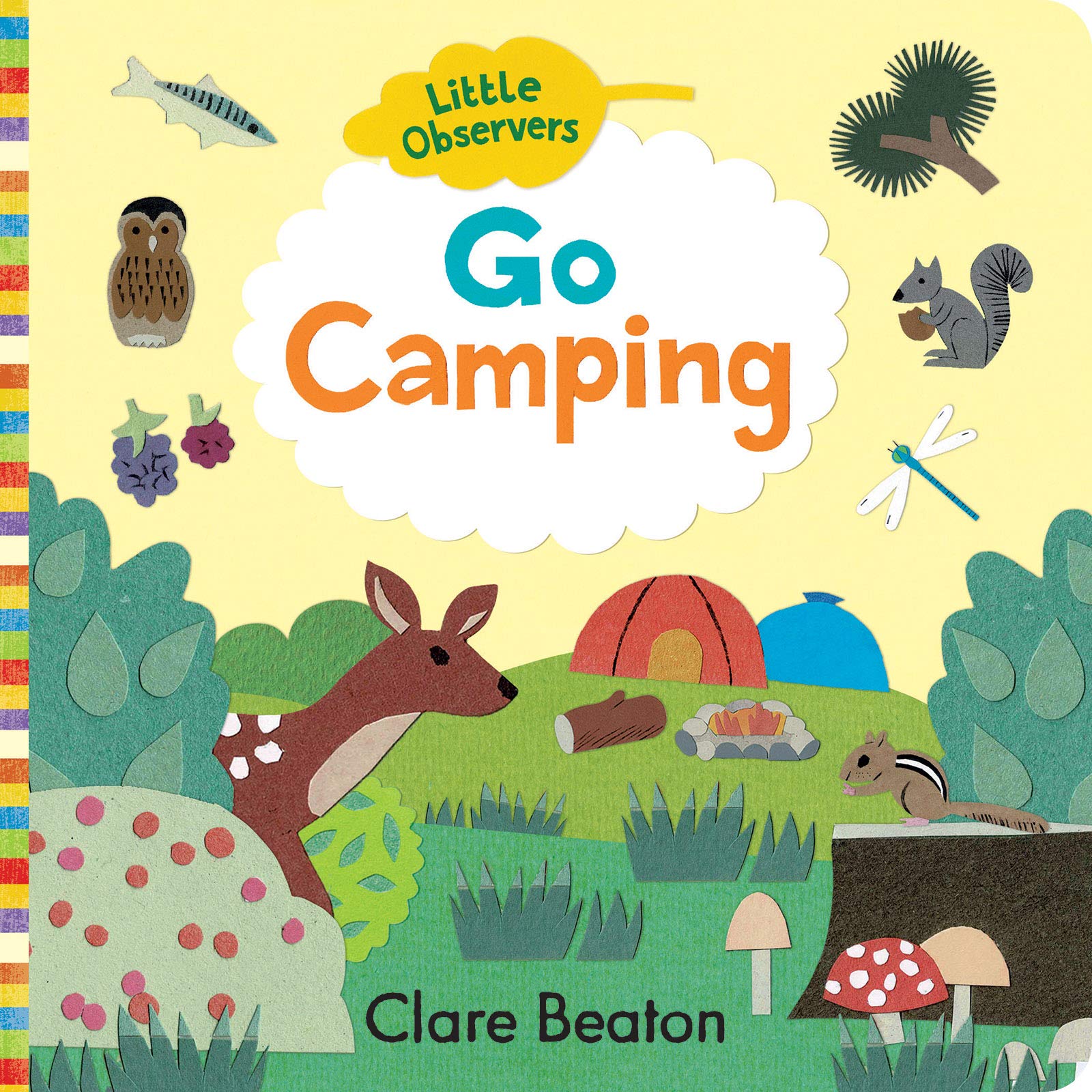 Little Observers: Go Camping (Board Book)