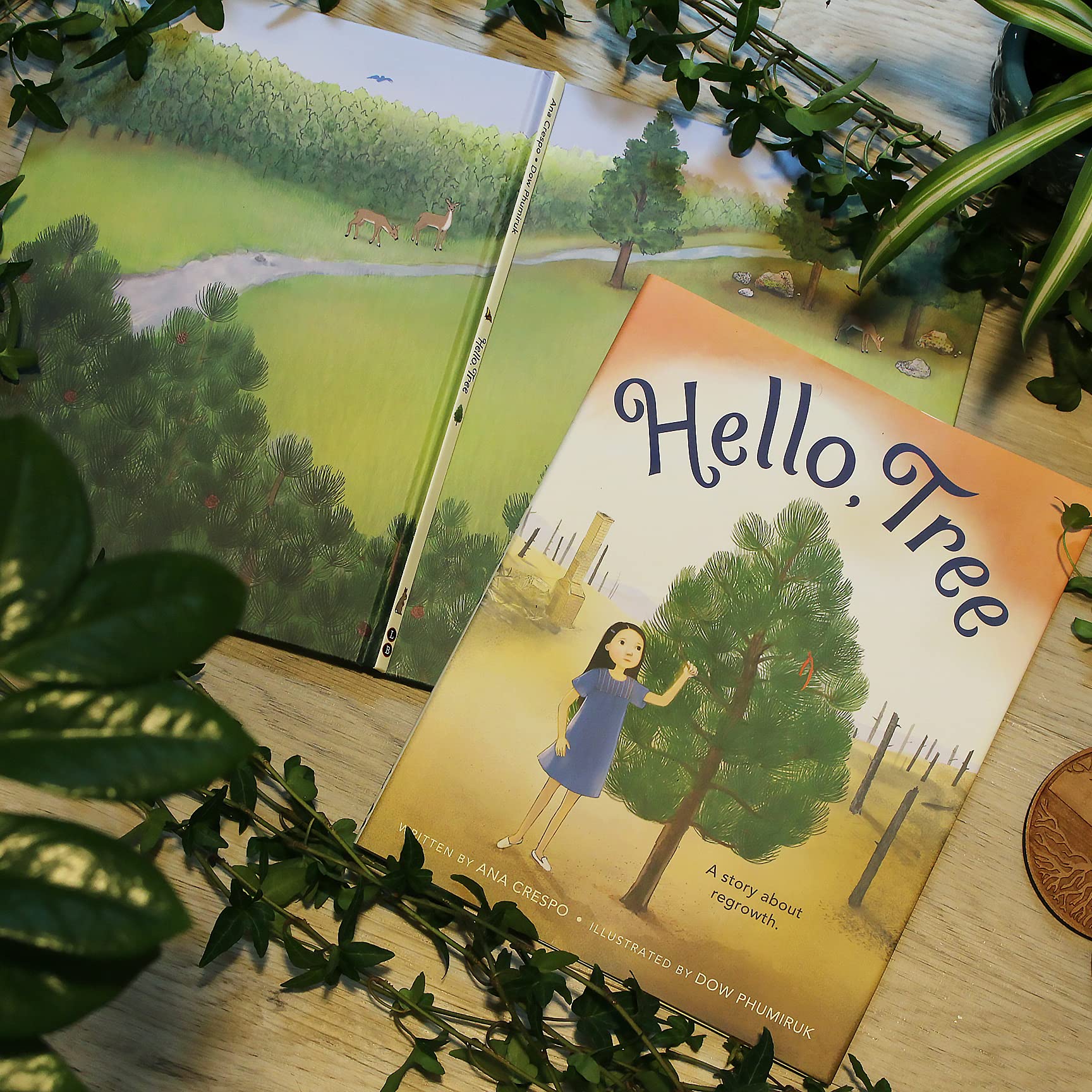 Hello, Tree (Hardcover)