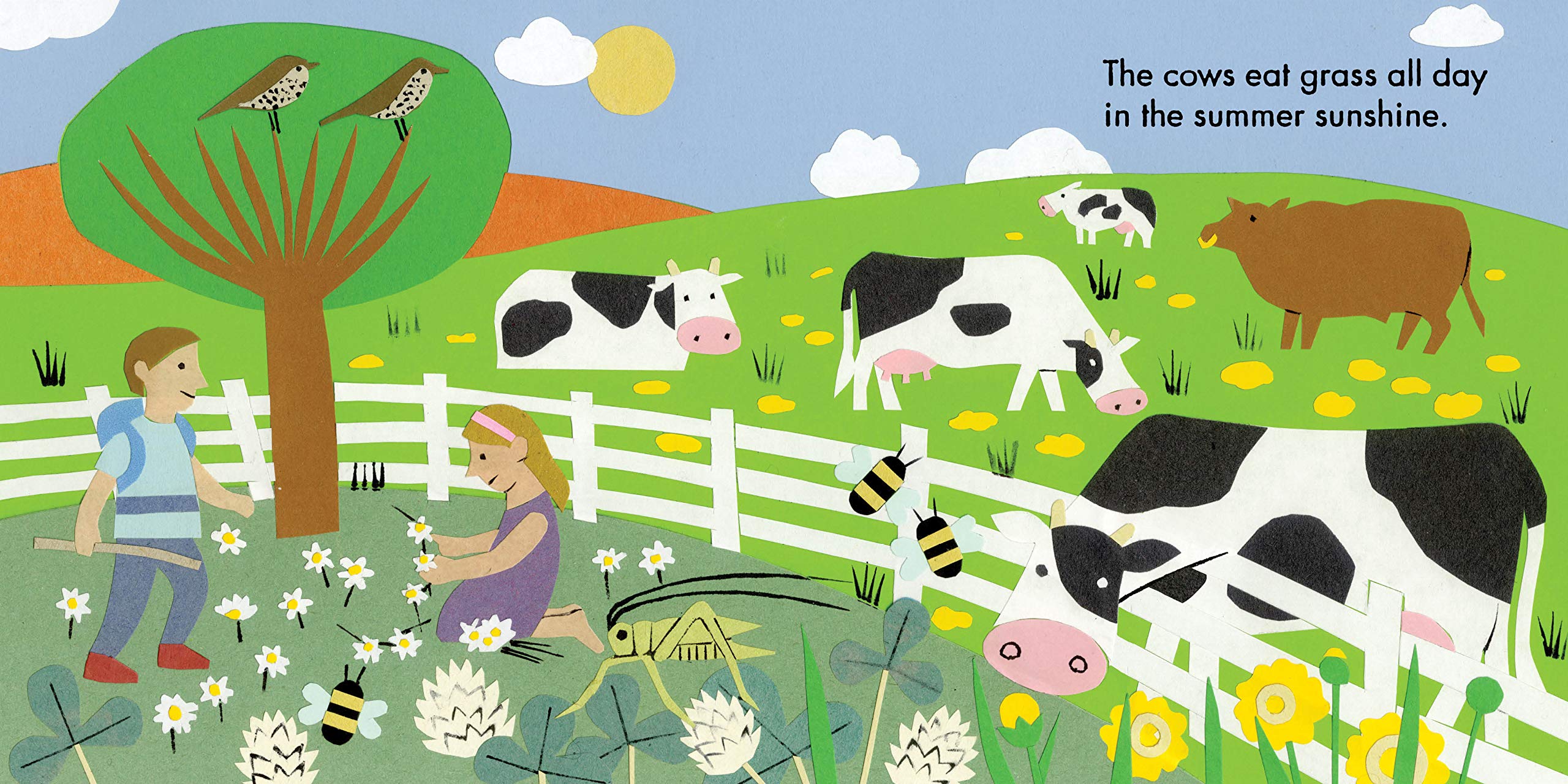 Little Observers: On the Farm (Board Book)