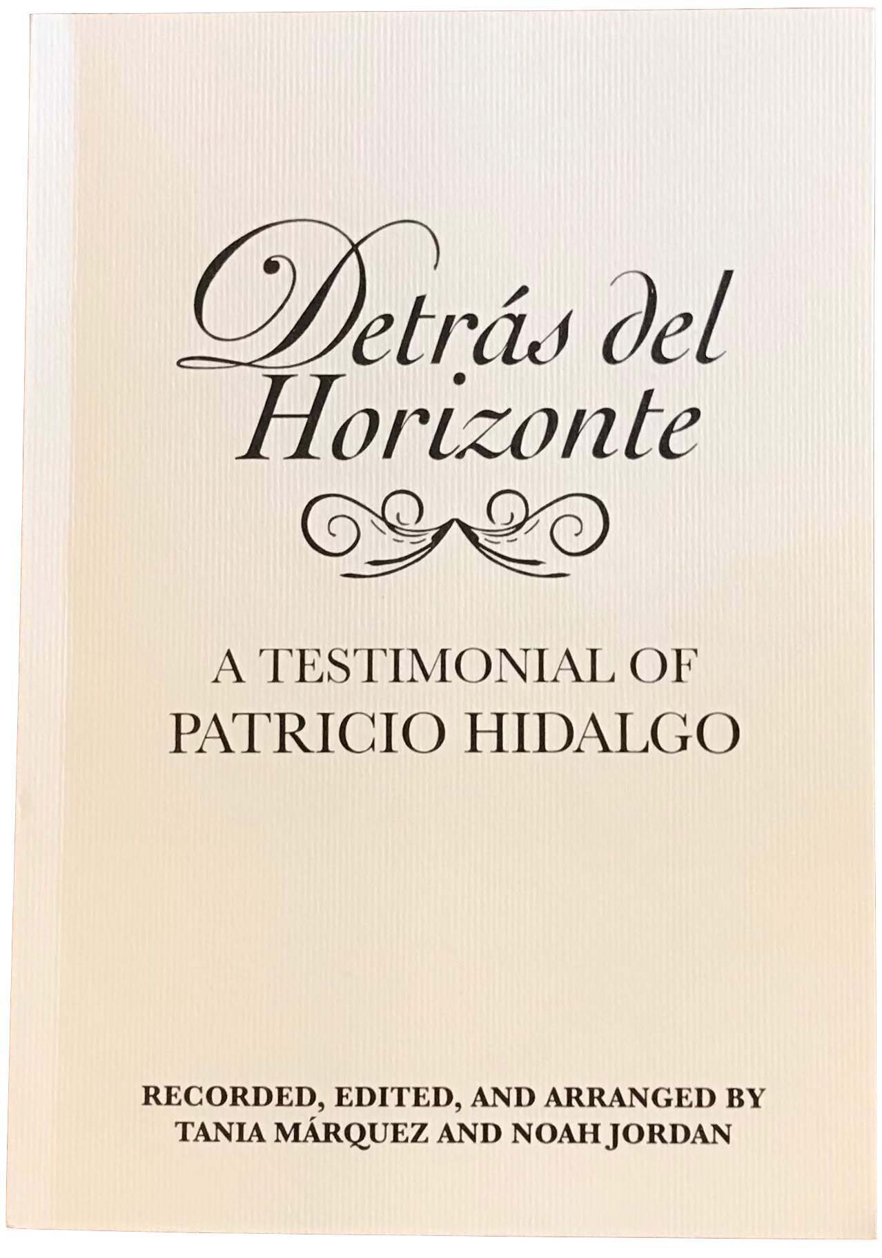 Detrás del Horizonte: A Testimonial of Patricio Hidalgo